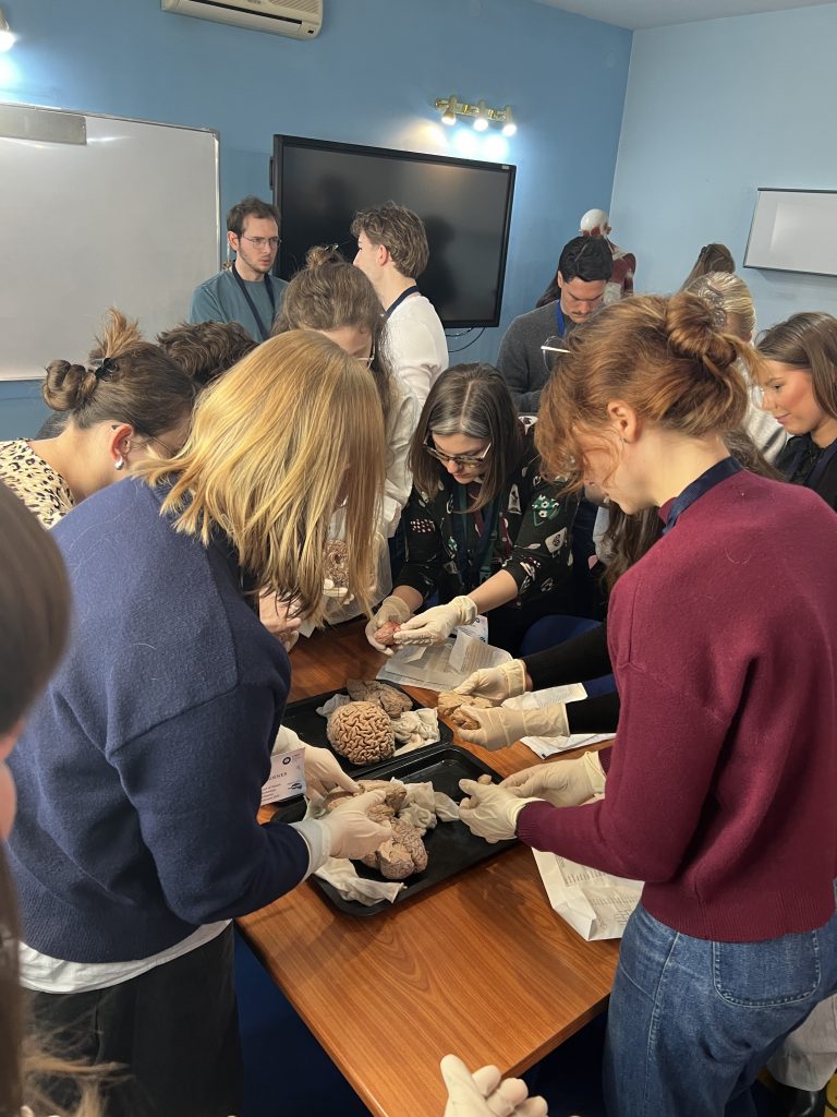 Chiara Nappi at 2026 UMF's Winter School